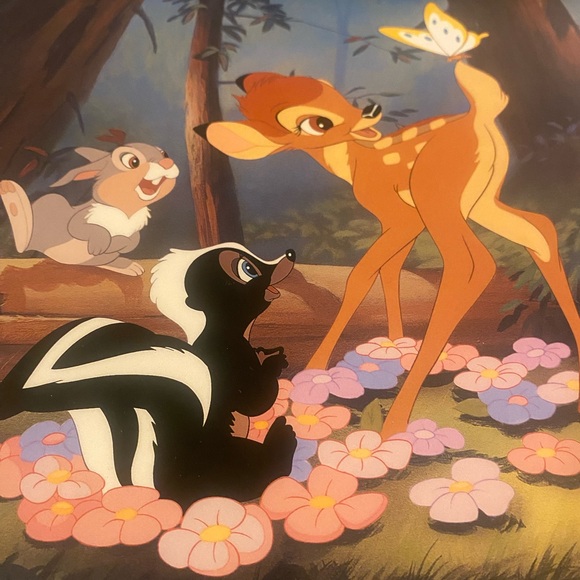 Disney Exclusive Commemorative Lithograph with Green Frame - Picture 2 of 8